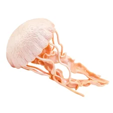 Figurka - Medúza