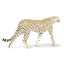 Gepard
