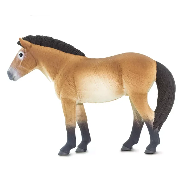 Safari Ltd. Figurka - Kůň převalského