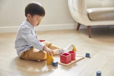 Geometrické tvary - vkládačka