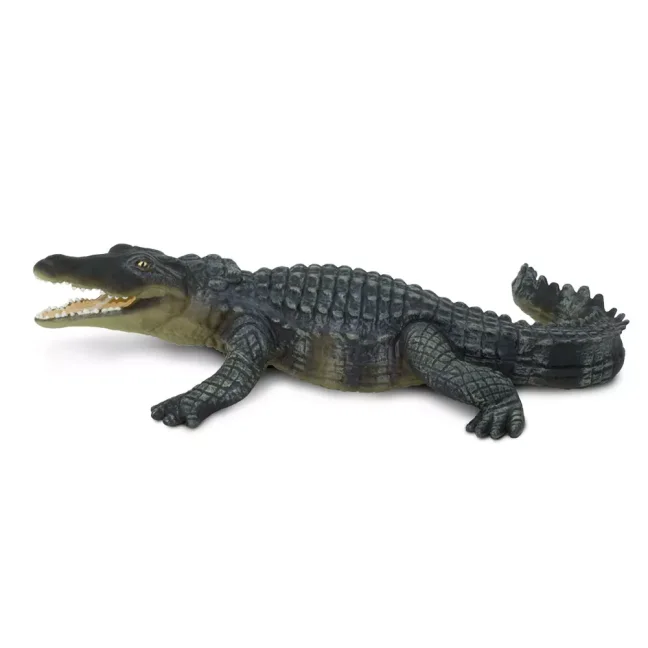 Krokodýl