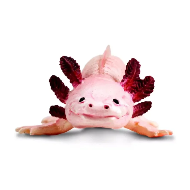 Safari Ltd. Figurka - Axolotl