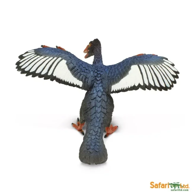 Archaeopteryx