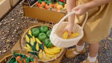 PlanToys Sada čerstvého ovoce