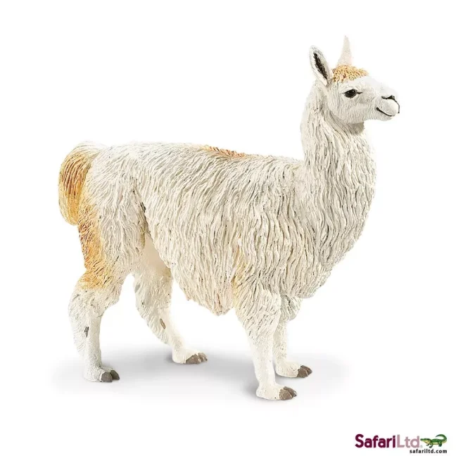 Lama