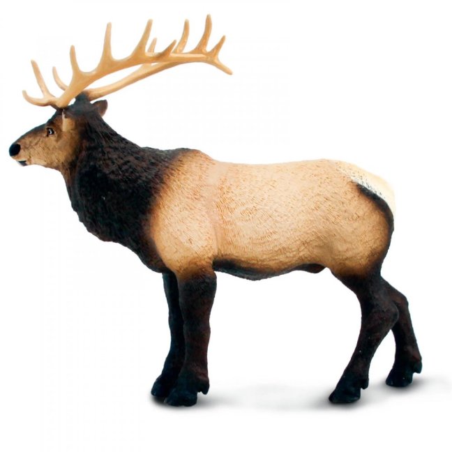 Safari Ltd. Figurka - Wapiti