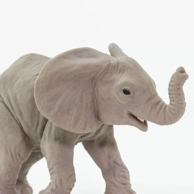 Mládě slona afrického