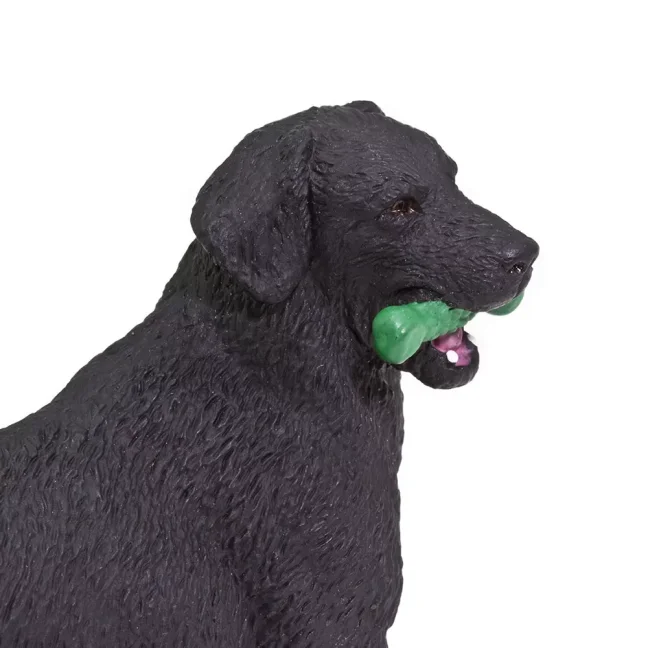 Černý labrador