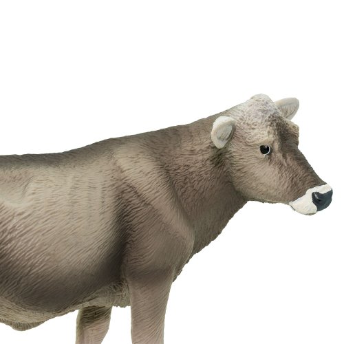 Švýcarská hnědá kráva