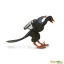 Archaeopteryx