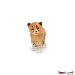 Mládě geparda
