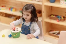 PlanToys Vhazovací box - tvary