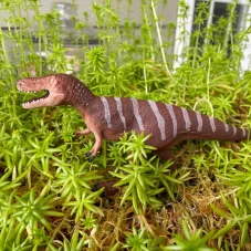 Safari Ltd. Figurka - Nanotyrannus