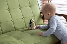 Tučňák na kolečkách