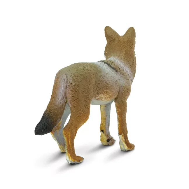Kojot
