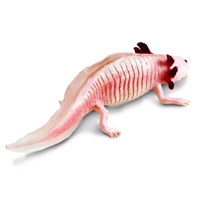 Safari Ltd. Figurka - Axolotl