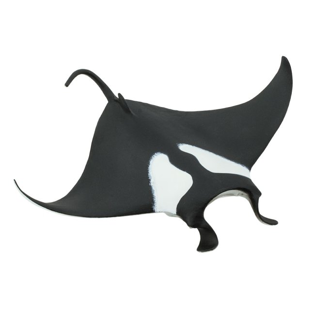 Manta obrovská