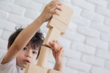 PlanToys Přírodní stavebnice (50 ks)