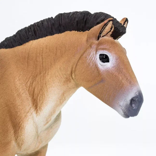 Safari Ltd. Figurka - Kůň převalského