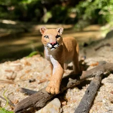 Safari Ltd. Figurka - Puma americká