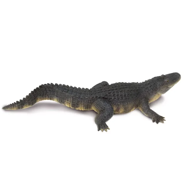Aligátor