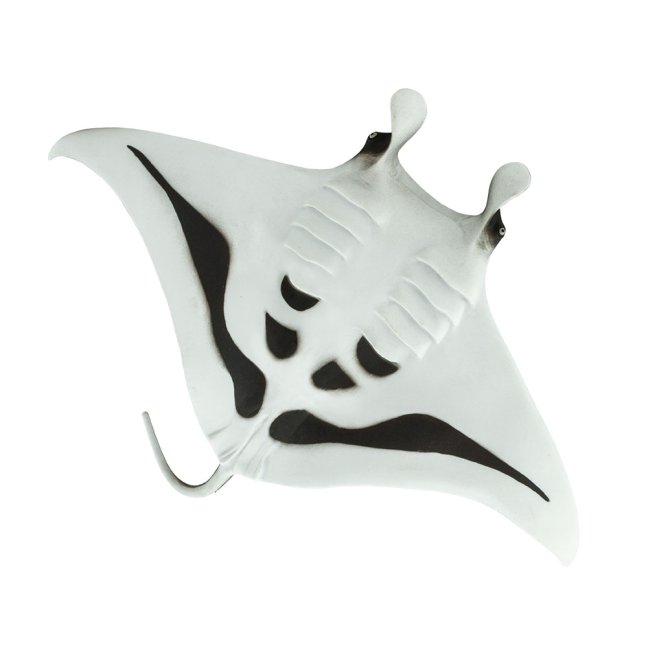Manta obrovská