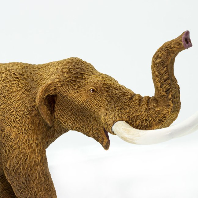 Americký mastodont