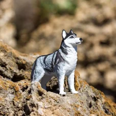 Safari Ltd. Figurka - Sibiřský husky