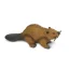Safari Ltd. Figurka - Bobr