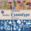 Sentosphere Kyanotypie - Herbářská dílna