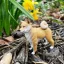 Safari Ltd. Figurka - Shiba Inu