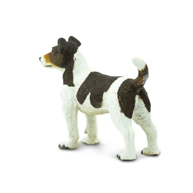 Jack Russel teriér