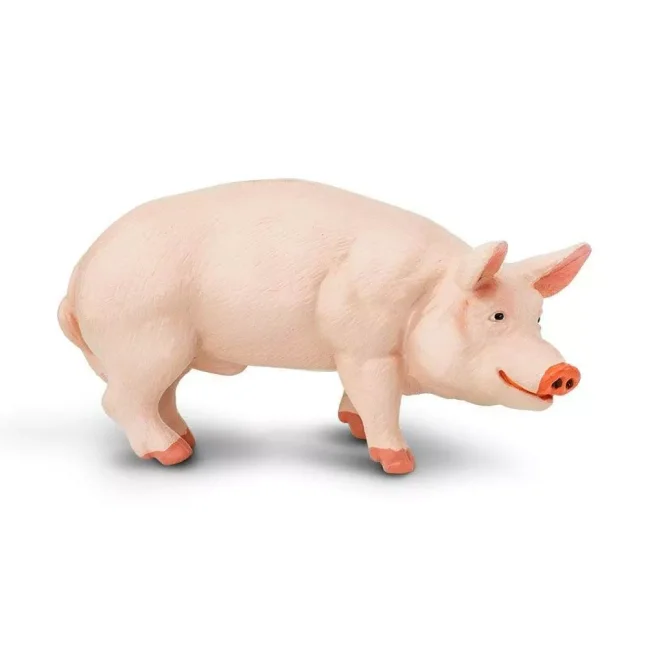 Figurka - Kanec prasete domácího