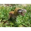 Safari Ltd. Figurka - Opeřený Tyrannosaurus rex (s rozšířenou realitou)