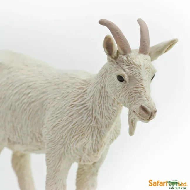 Koza domácí "Nanny"