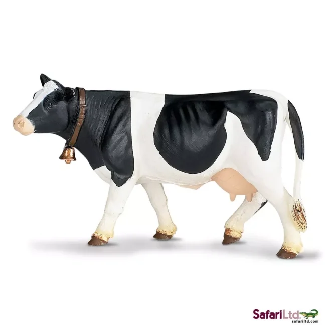 Holštýnská kráva