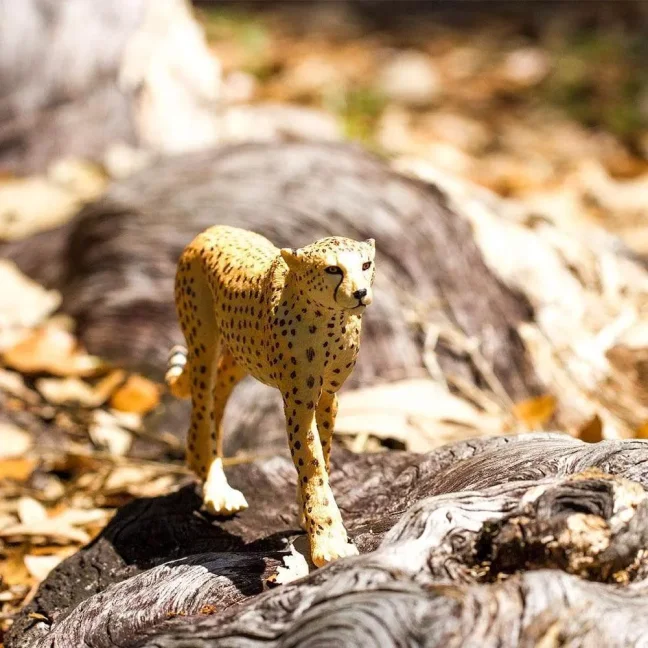 Gepard