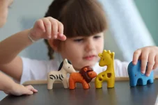 PlanToys Set - Divoká zvířata