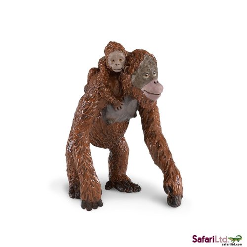Orangutan s mládětem