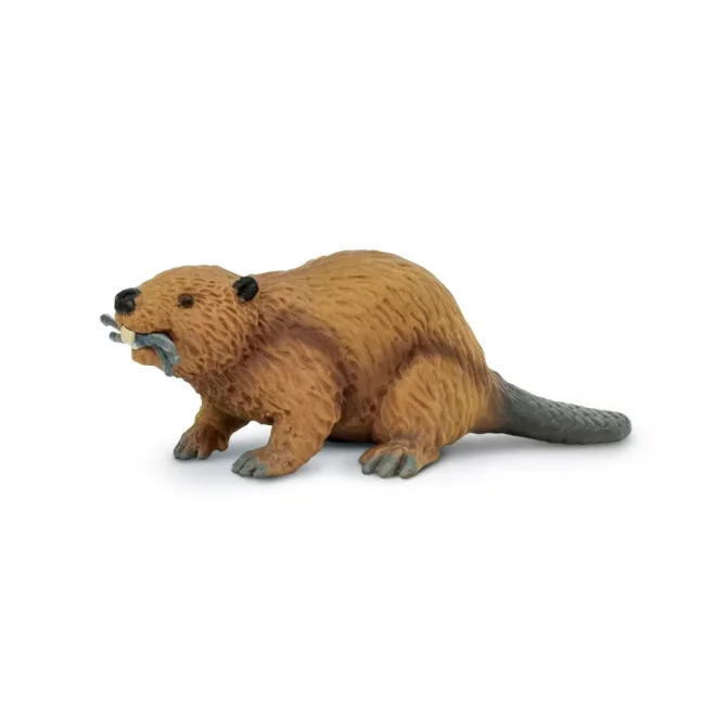 Safari Ltd. Figurka - Bobr