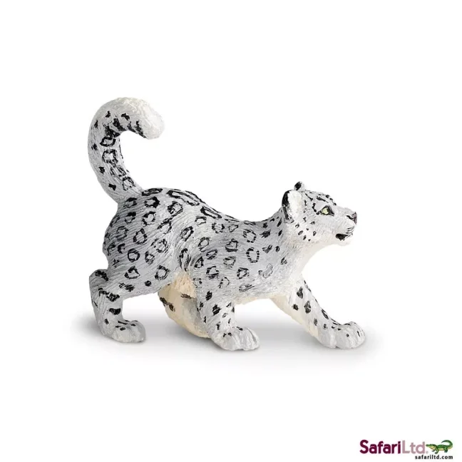 Mládě levharta sněžného