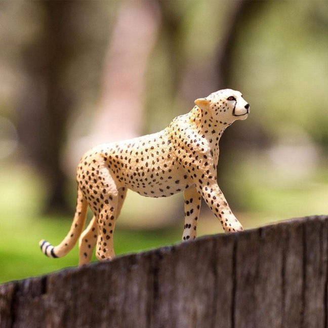 Gepard