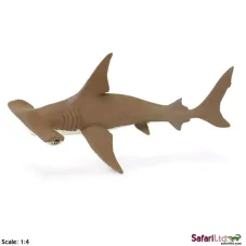 Mládě kladivouna bronzového
