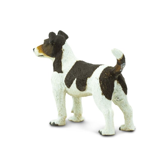 Jack Russel teriér