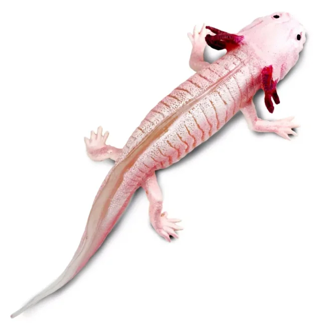Safari Ltd. Figurka - Axolotl