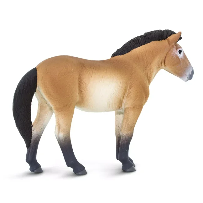 Safari Ltd. Figurka - Kůň převalského