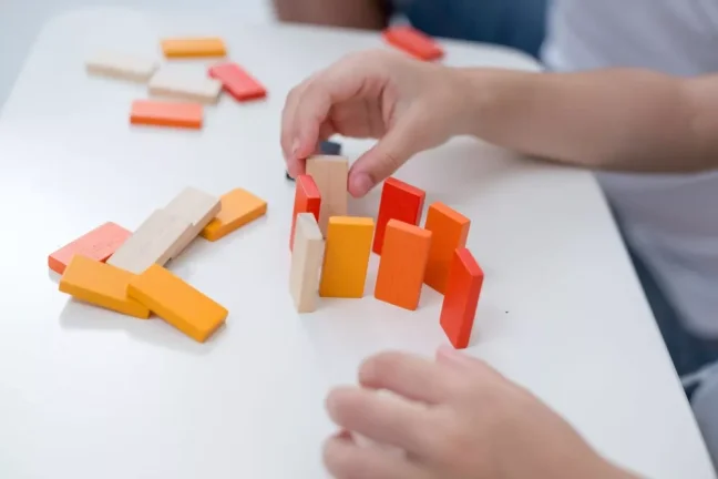 PlanToys Mini-Domino