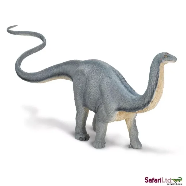 Apatosaurus