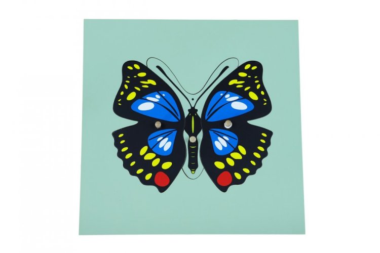 Puzzle - motýl