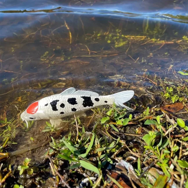 Safari Ltd. Figurka - Koi kapr